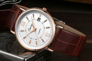 手表 时间的艺术与科技的结晶